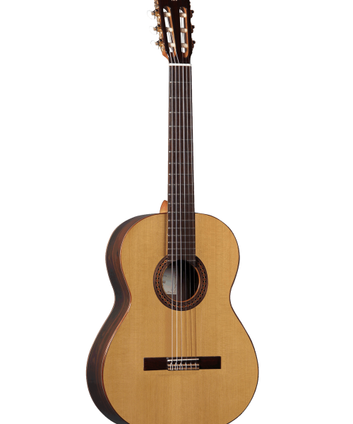 ziricote