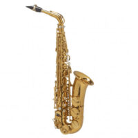 saxo-alto-selmer-supreme-dgg-goldmessing