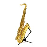 saxo_tenor_bressant