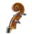 violin-stentor-master-4-4-53356