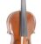 violin_stentor_student_i_0_0