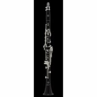 selmer-privilege