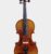 Violon-Spiccato-Paloma-Valeva-05-2