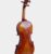 Violon-Spiccato-Paloma-Valeva-08-2