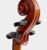 10-Violon-Conservatore-1