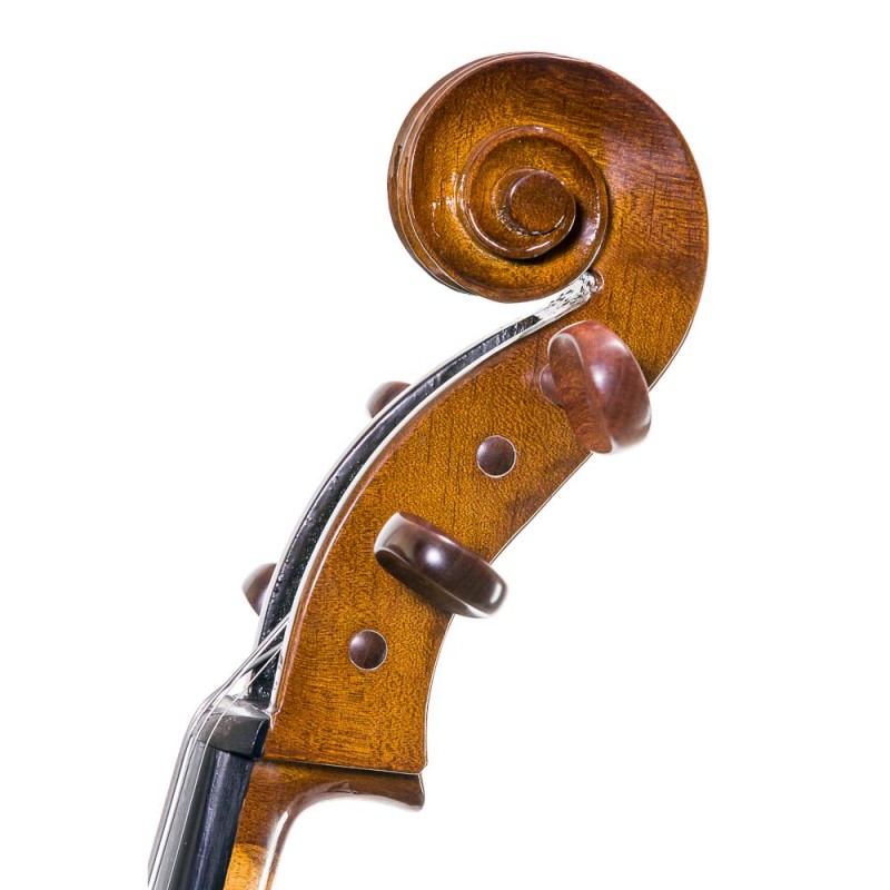CELLO Y CONTRABAJO