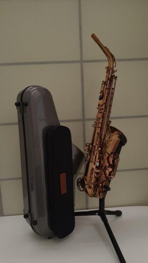 SAXO ALTO WOOD STONE SUPER CUSTOM (VL)